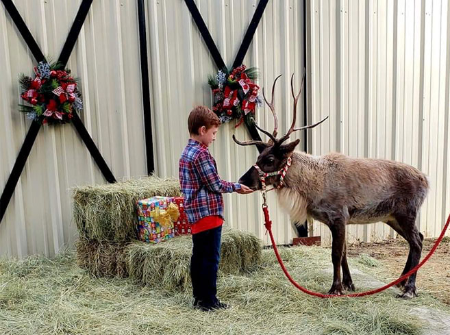 mobile petting zoo